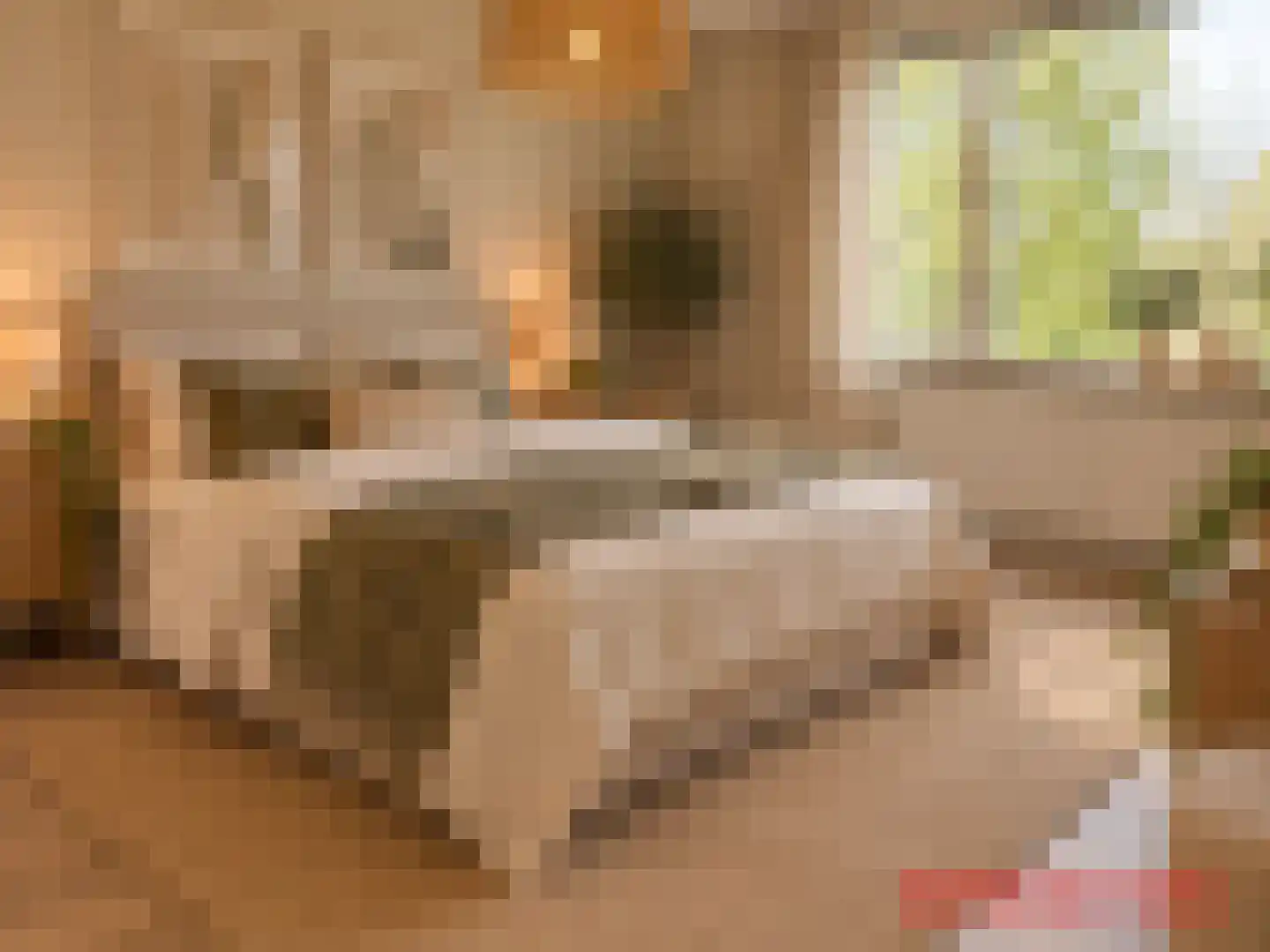 Botlek 71 Zwolle thumbnail 17