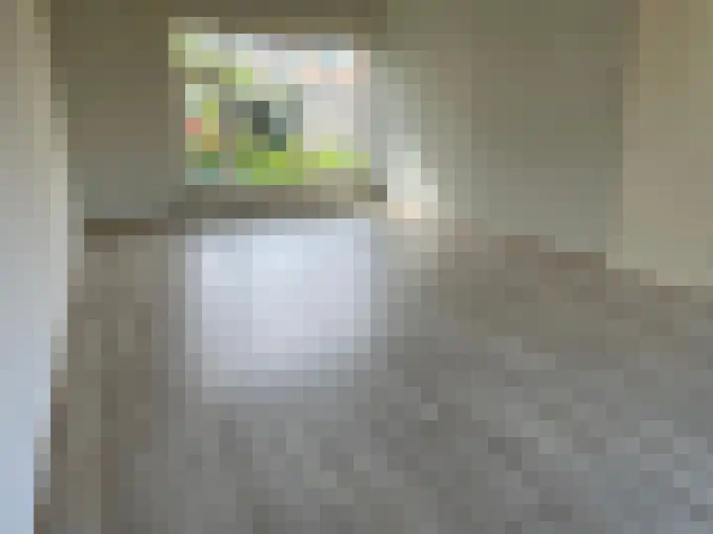 Botlek 71 Zwolle thumbnail 5