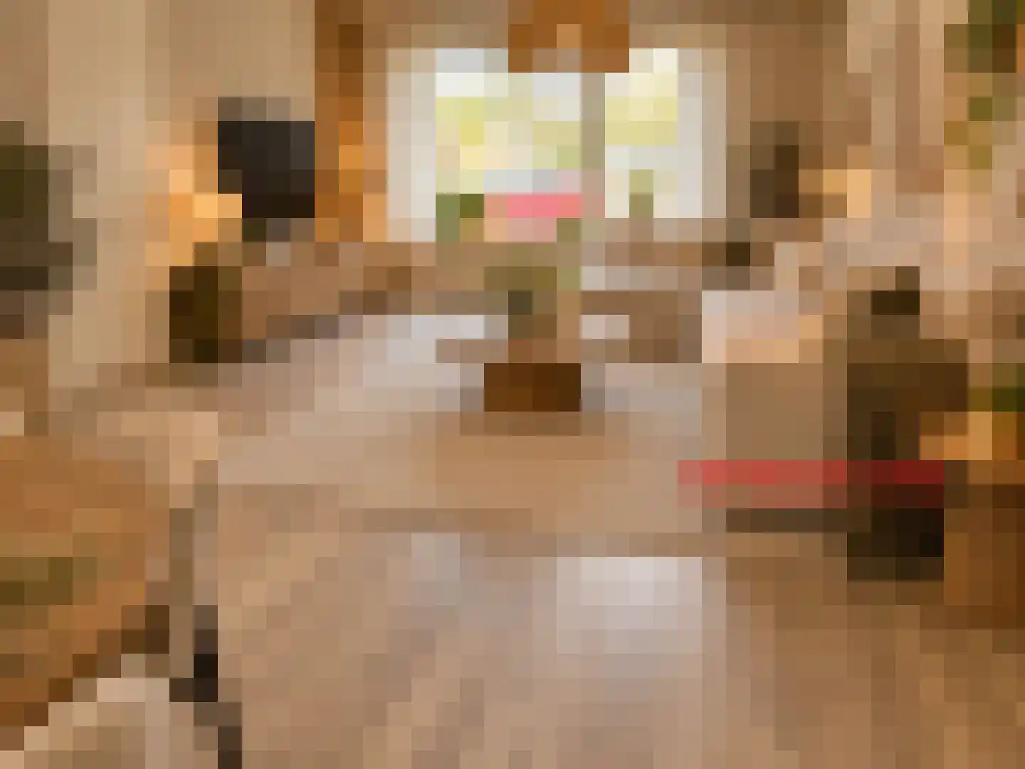 Botlek 71 Zwolle thumbnail 6