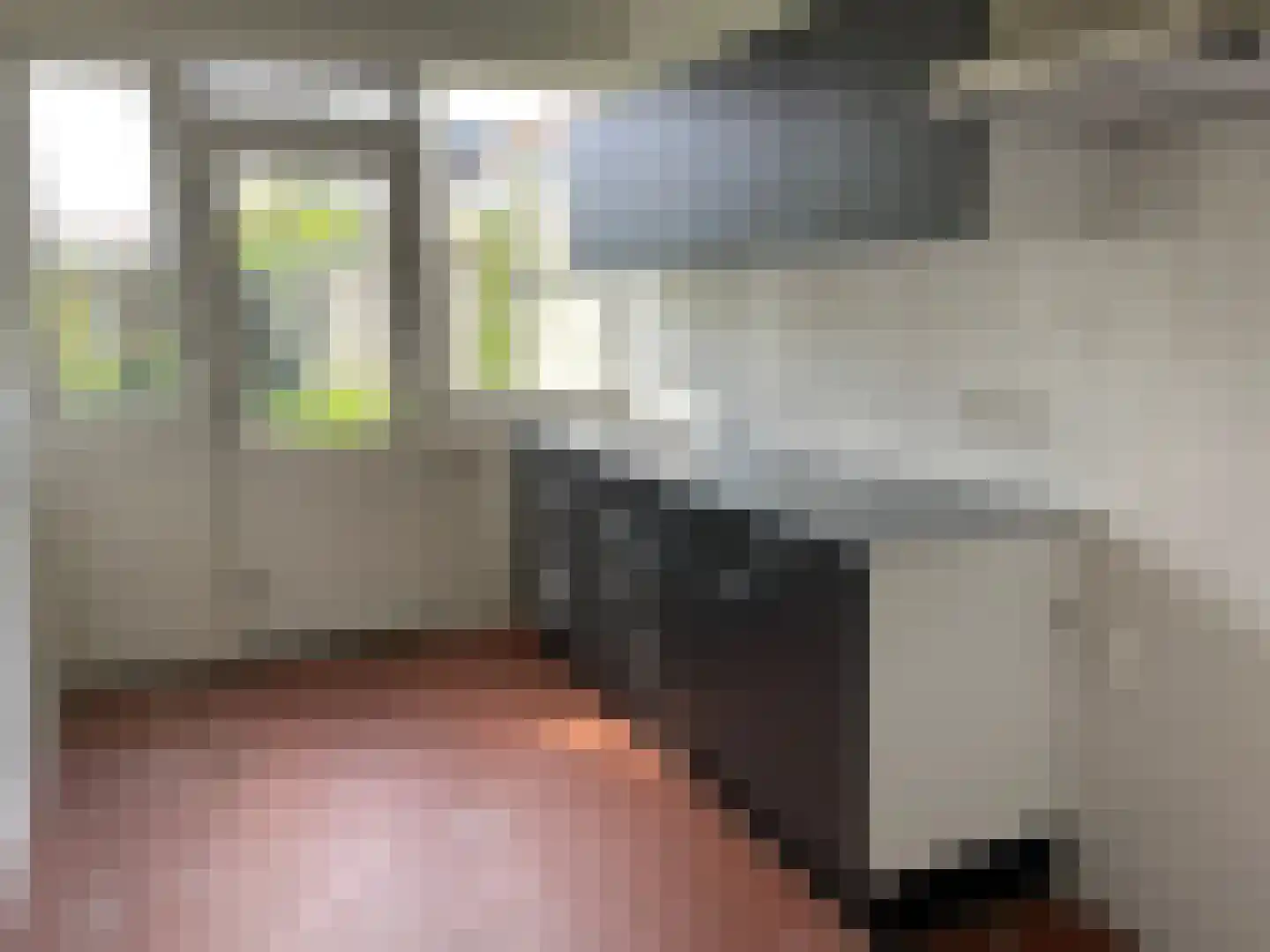 Botlek 71 Zwolle thumbnail 7