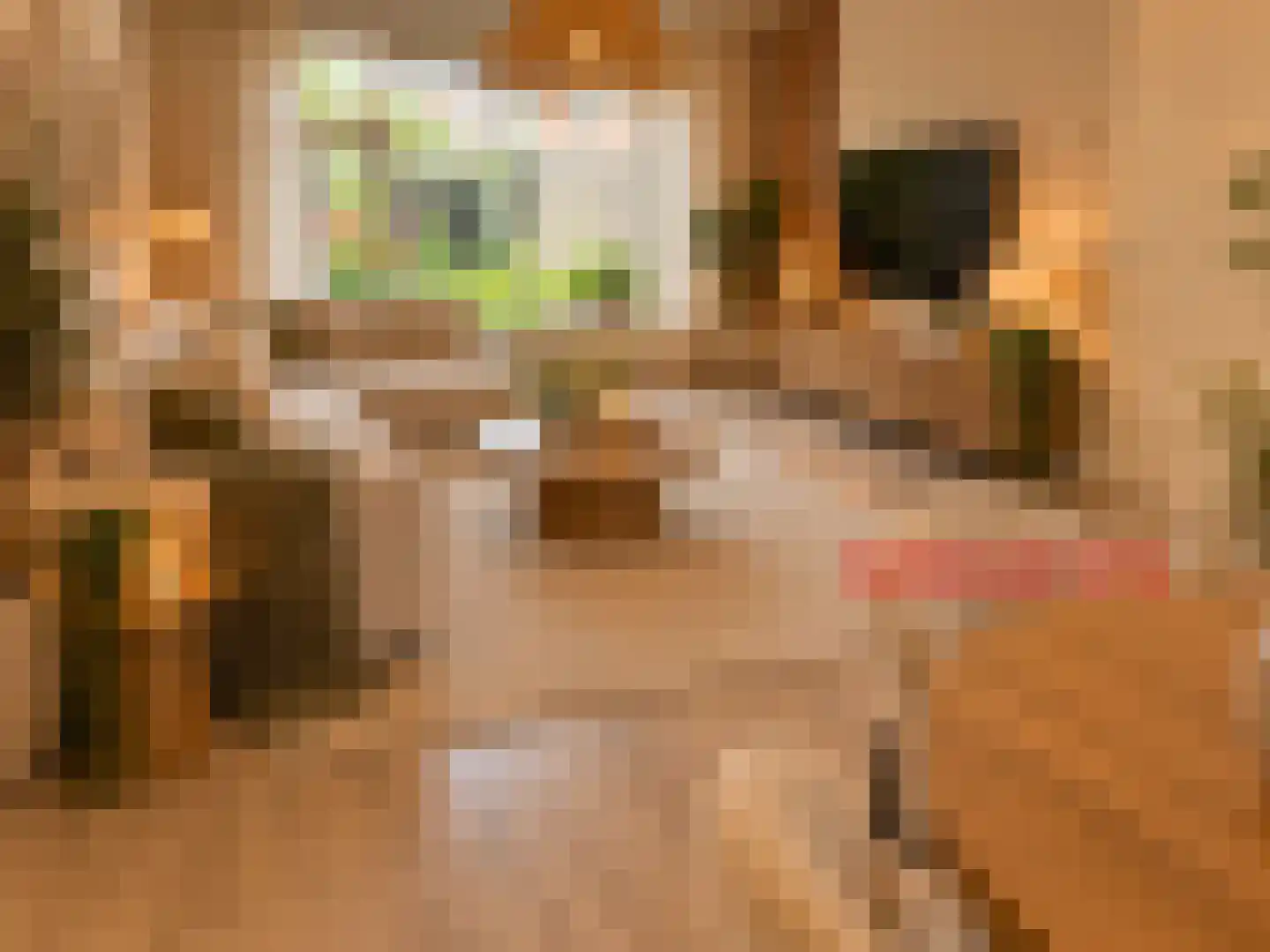 Botlek 71 Zwolle thumbnail 8