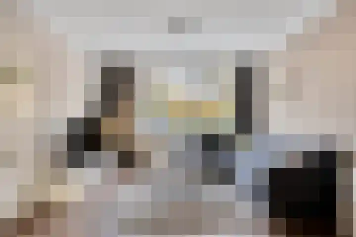 Botlek 8 Deurne thumbnail 12