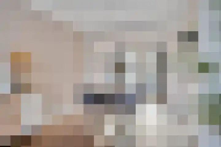 Botlek 8 Deurne thumbnail 14