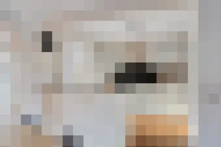 Botlek 8 Deurne thumbnail 4