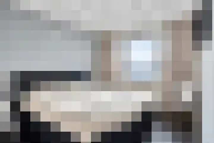 Botlek 8 Deurne thumbnail 5