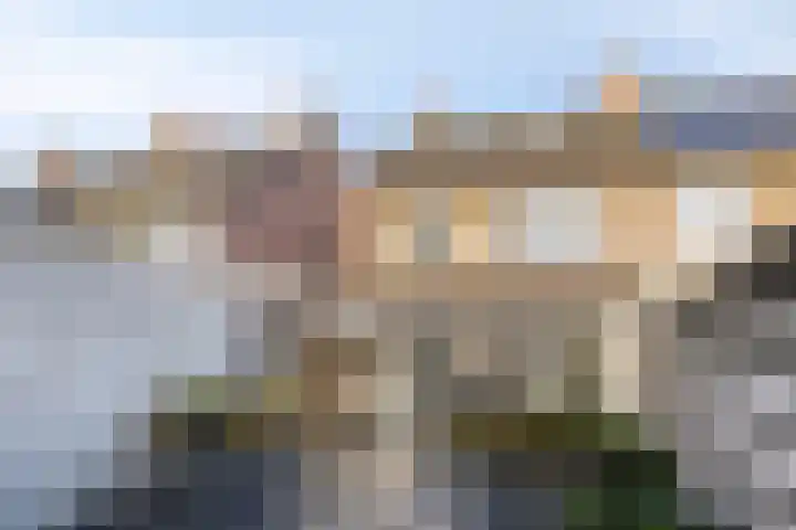 Botlek 8 Deurne thumbnail 6