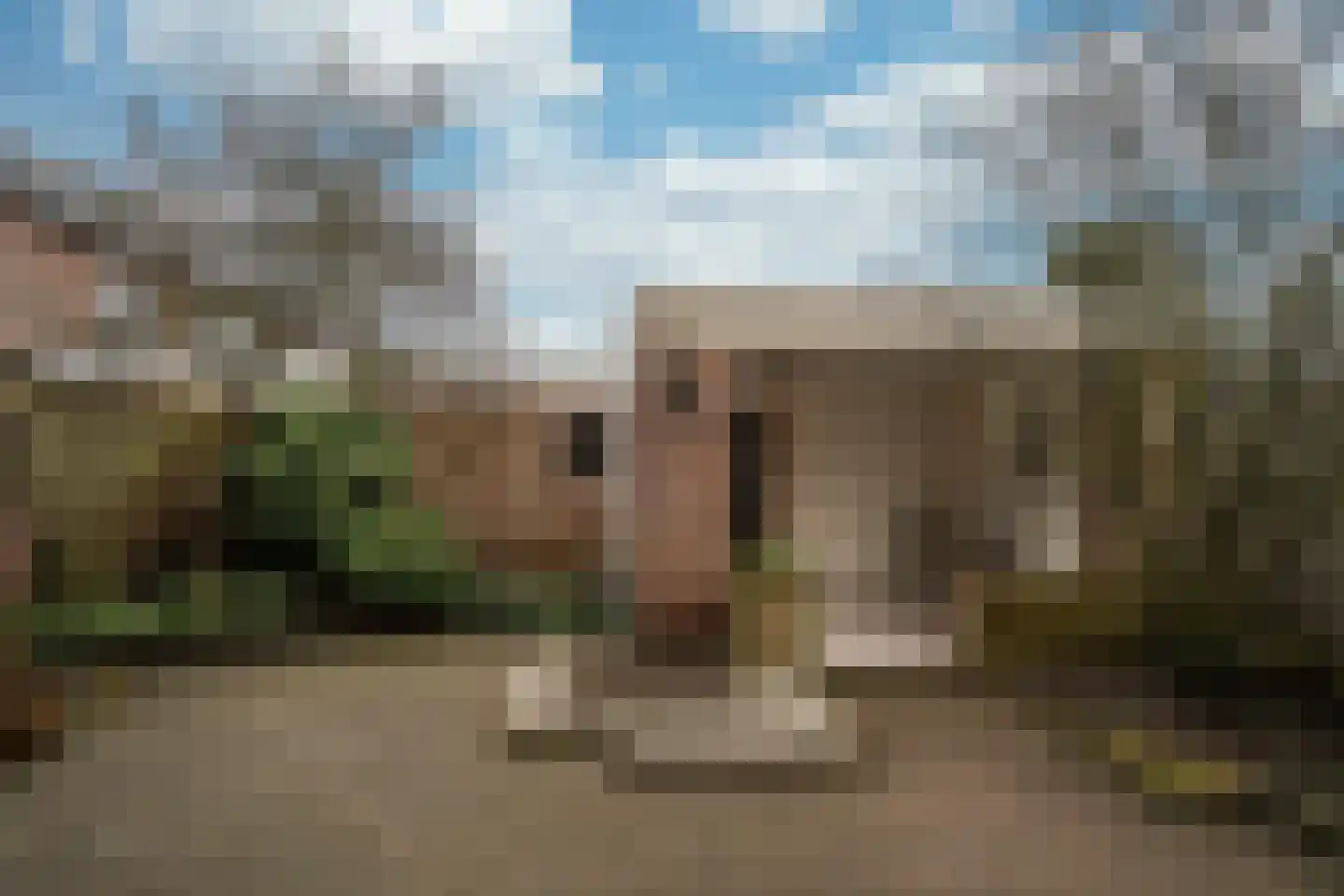 Botlek 9 Deurne thumbnail 15