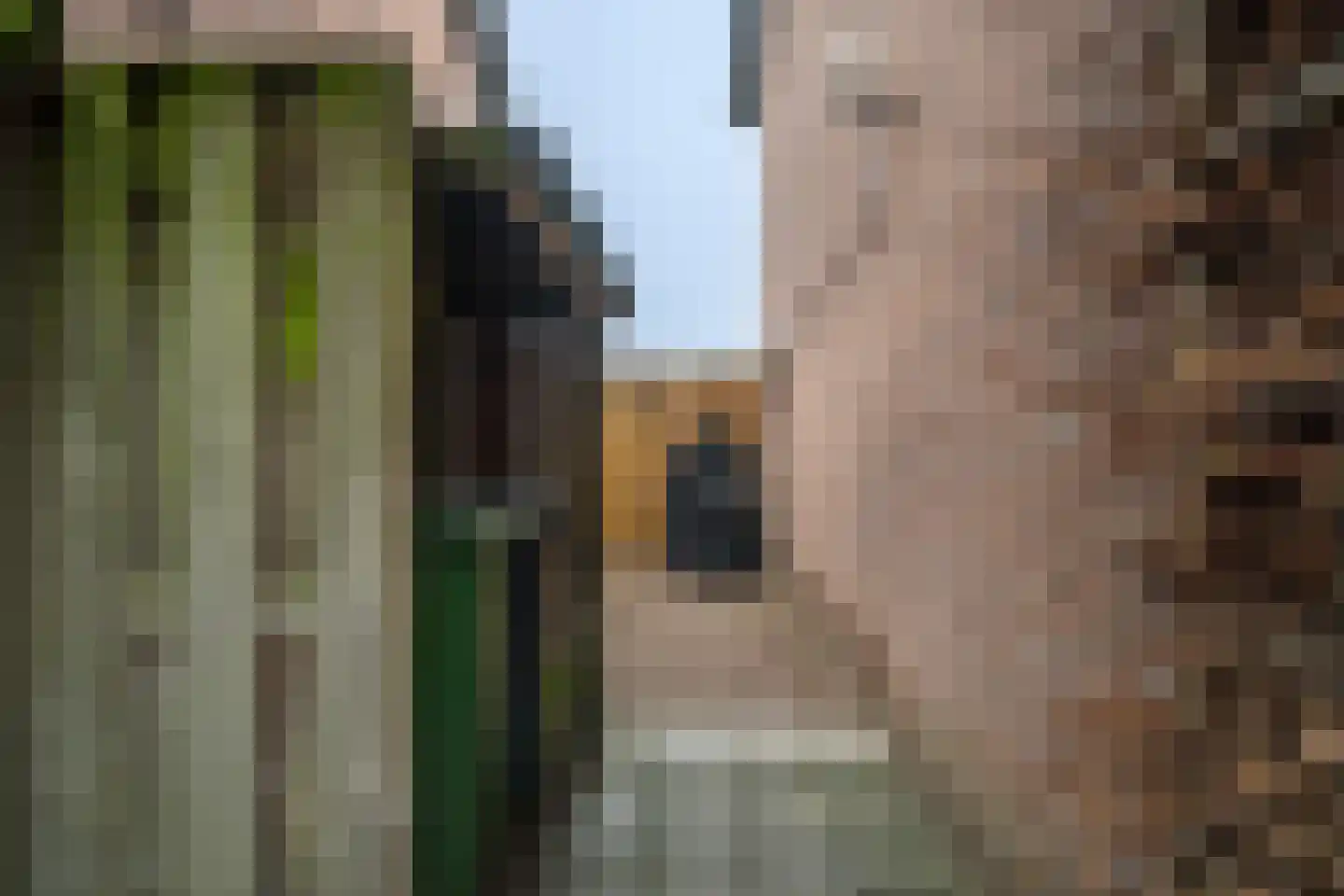 Botlek 9 Deurne thumbnail 20