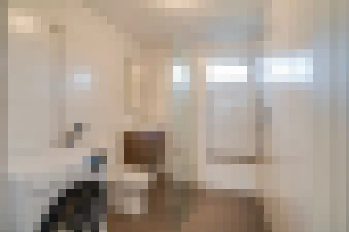Botlek 9 Deurne thumbnail 26