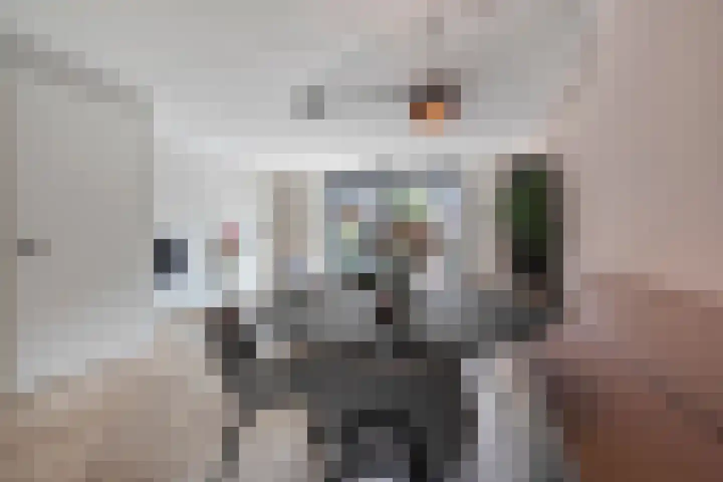 Botlekhof 10 Zwolle thumbnail 19