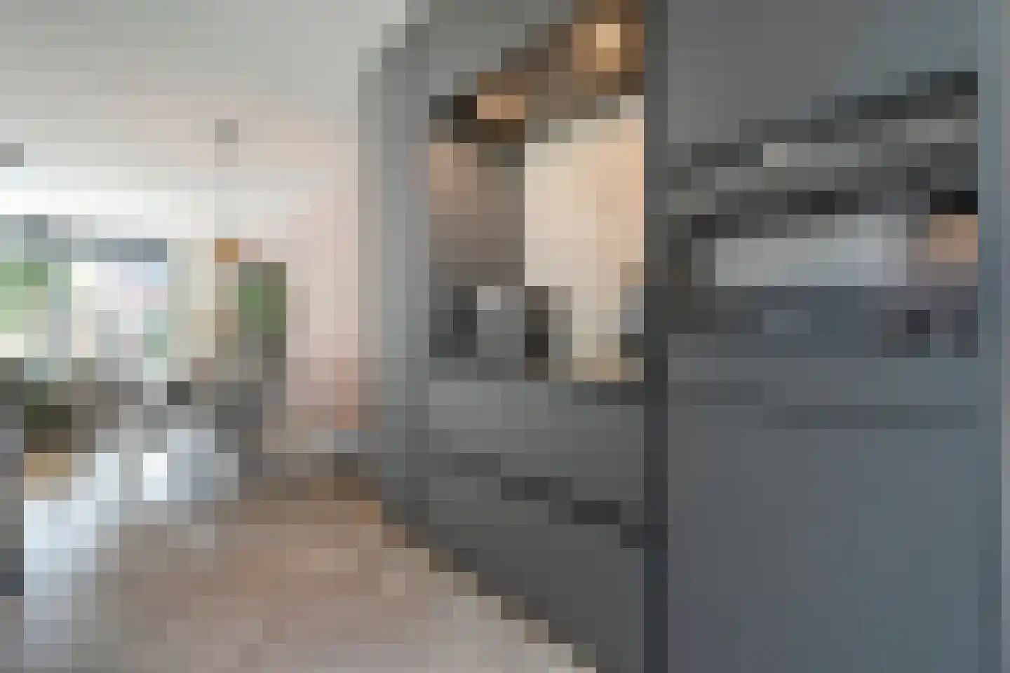 Botlekhof 10 Zwolle thumbnail 24