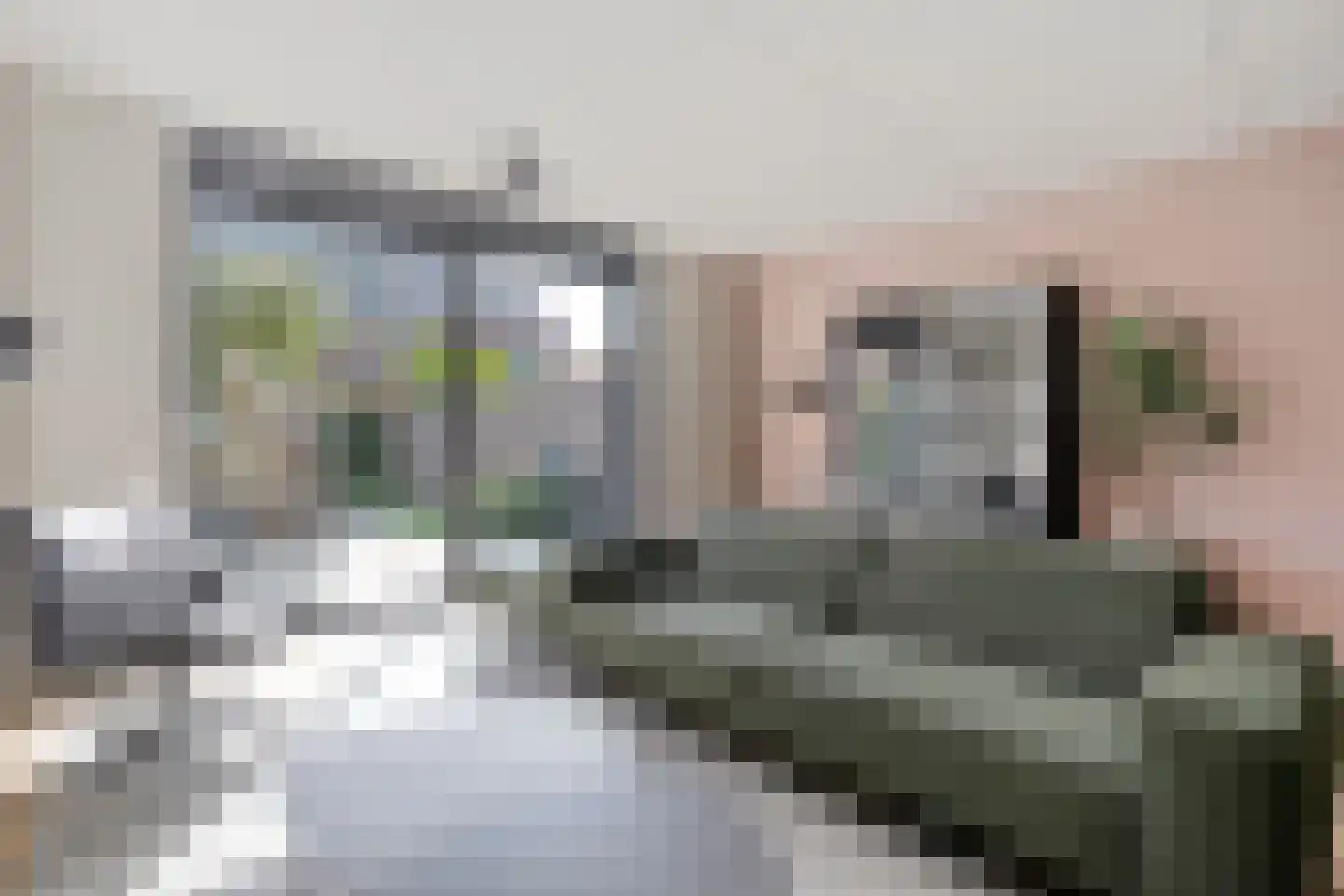 Botlekhof 10 Zwolle thumbnail 28