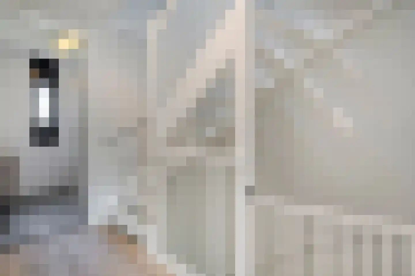 Botlekhof 10 Zwolle thumbnail 32
