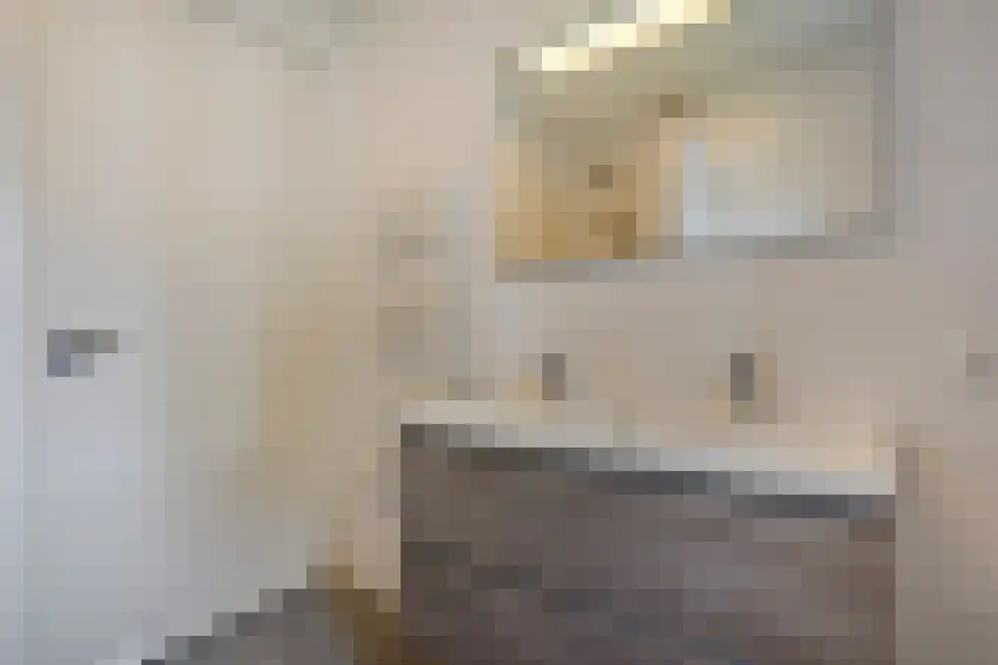 Botlekhof 10 Zwolle thumbnail 43