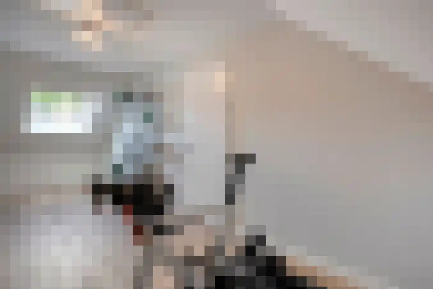 Botlekhof 10 Zwolle thumbnail 46