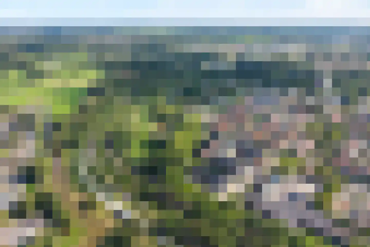 Botlekhof 10 Zwolle thumbnail 6