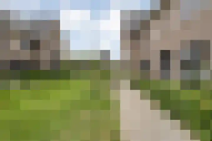 Botlekhof 16 Zwolle thumbnail 10