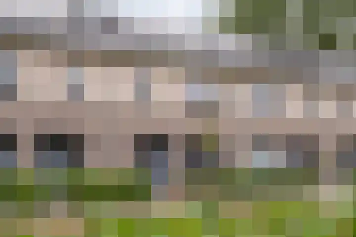 Botlekhof 16 Zwolle thumbnail 11