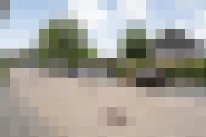 Botlekhof 16 Zwolle thumbnail 13