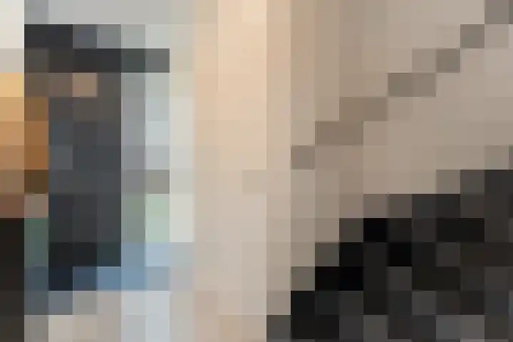 Botlekhof 16 Zwolle thumbnail 14