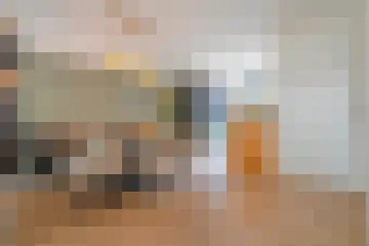 Botlekhof 16 Zwolle thumbnail 17