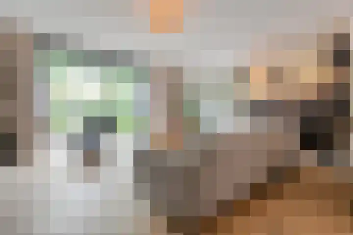 Botlekhof 16 Zwolle thumbnail 18