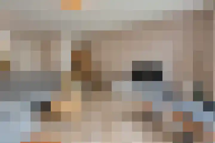 Botlekhof 16 Zwolle thumbnail 19