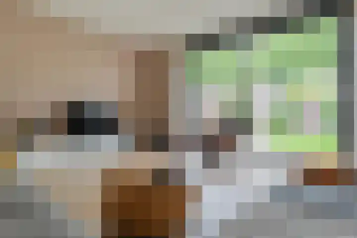 Botlekhof 16 Zwolle thumbnail 21