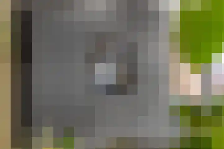 Botlekhof 16 Zwolle thumbnail 25