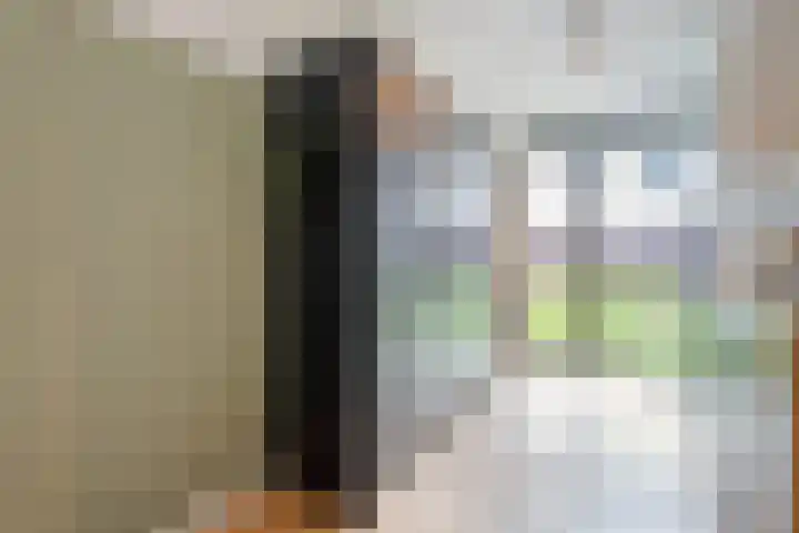 Botlekhof 16 Zwolle thumbnail 26