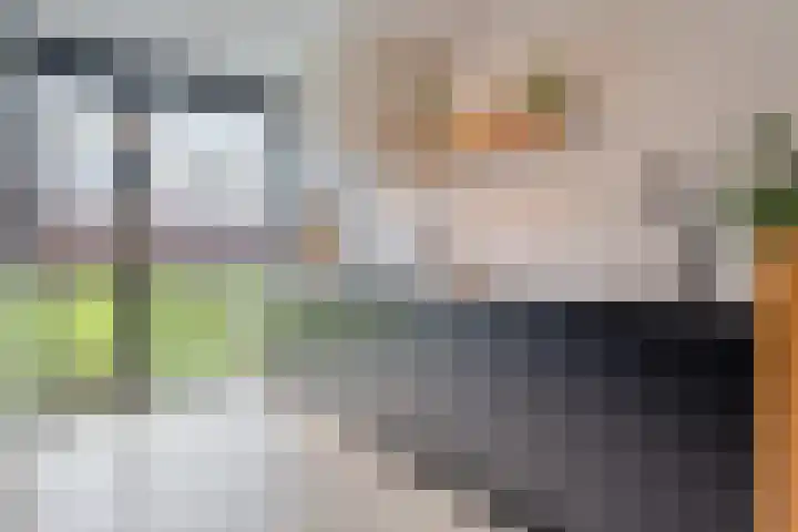 Botlekhof 16 Zwolle thumbnail 27