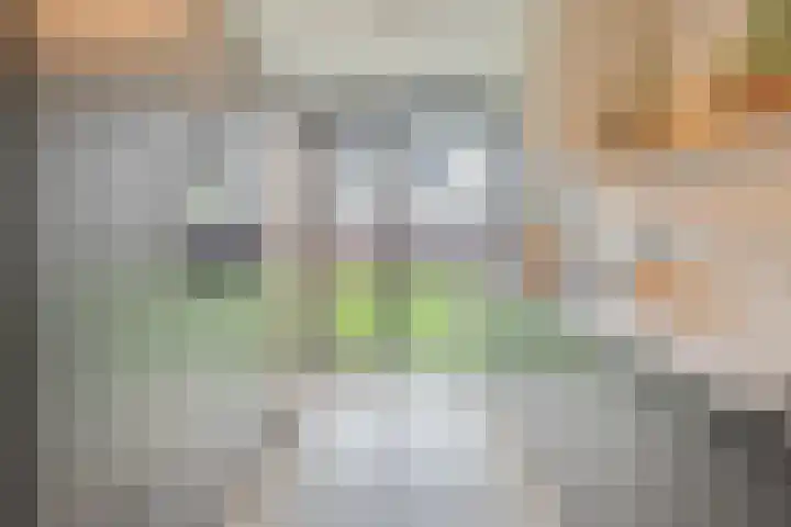 Botlekhof 16 Zwolle thumbnail 30