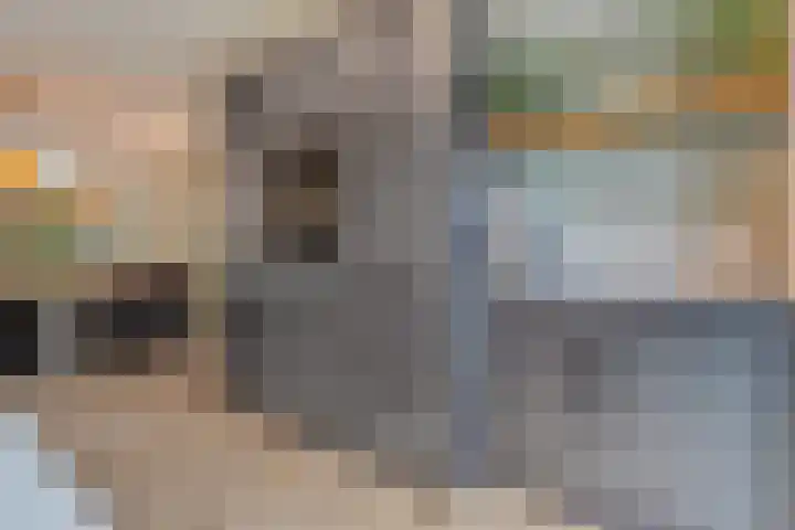 Botlekhof 16 Zwolle thumbnail 31
