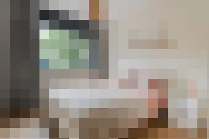 Botlekhof 16 Zwolle thumbnail 37