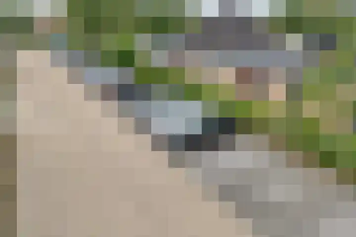 Botlekhof 16 Zwolle thumbnail 4