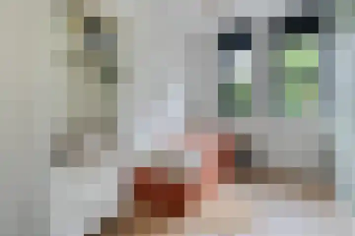 Botlekhof 16 Zwolle thumbnail 40
