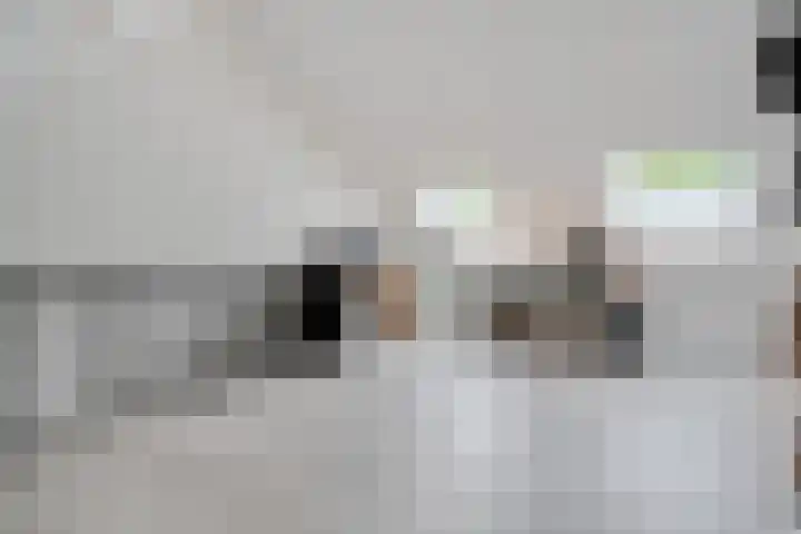 Botlekhof 16 Zwolle thumbnail 48