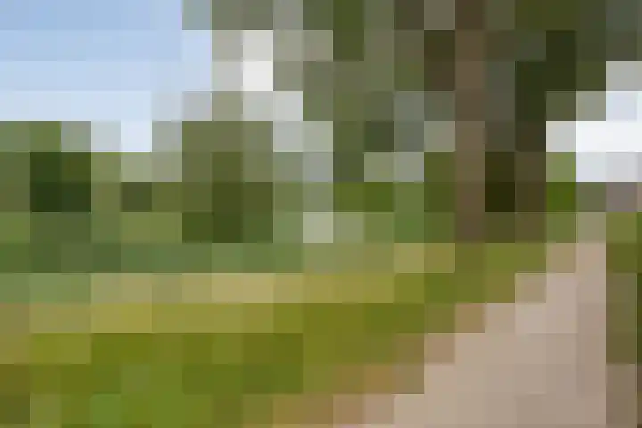 Botlekhof 16 Zwolle thumbnail 5