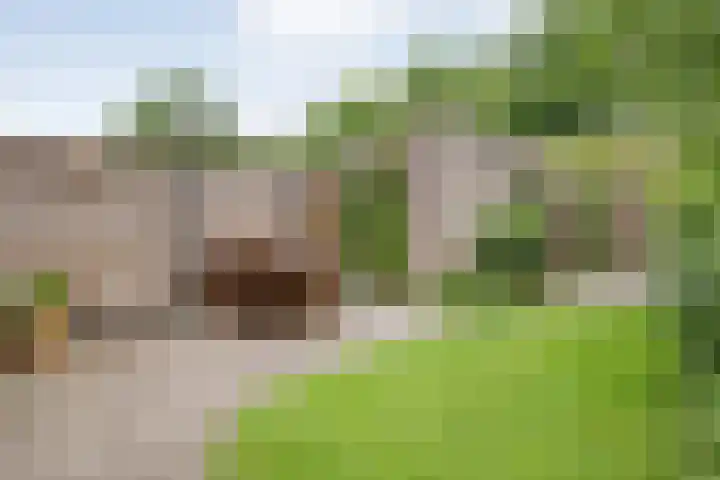 Botlekhof 16 Zwolle thumbnail 51