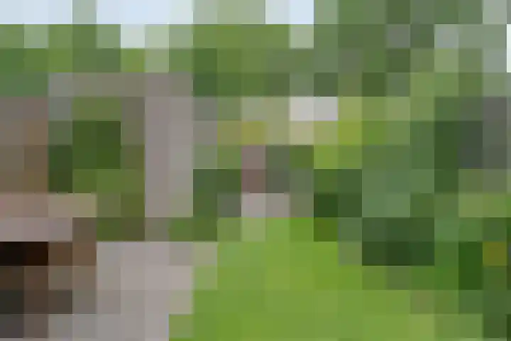 Botlekhof 16 Zwolle thumbnail 52