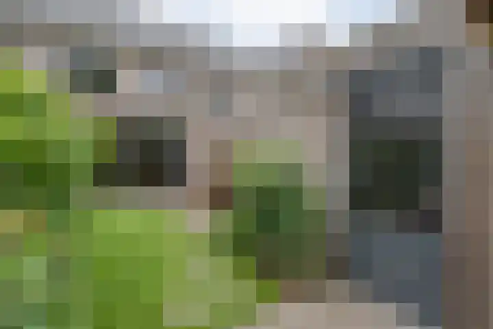 Botlekhof 16 Zwolle thumbnail 53