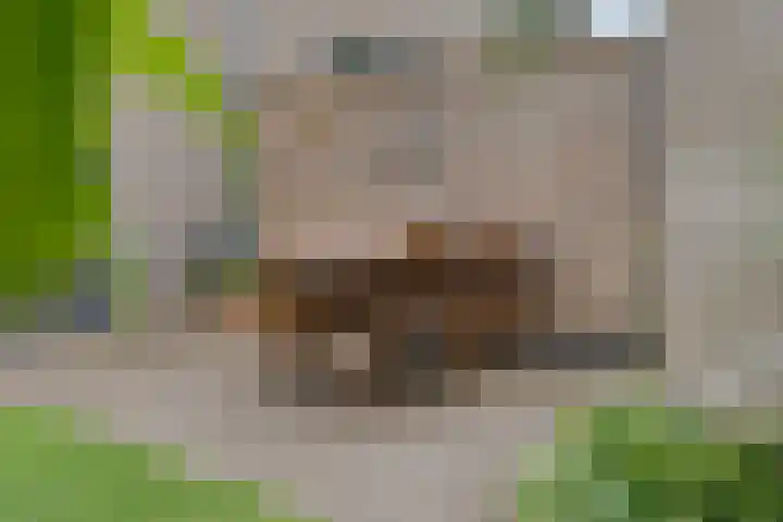 Botlekhof 16 Zwolle thumbnail 54