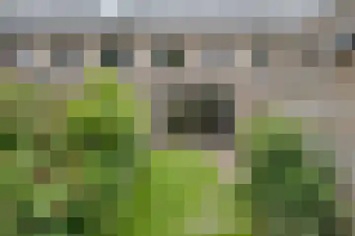 Botlekhof 16 Zwolle thumbnail 55