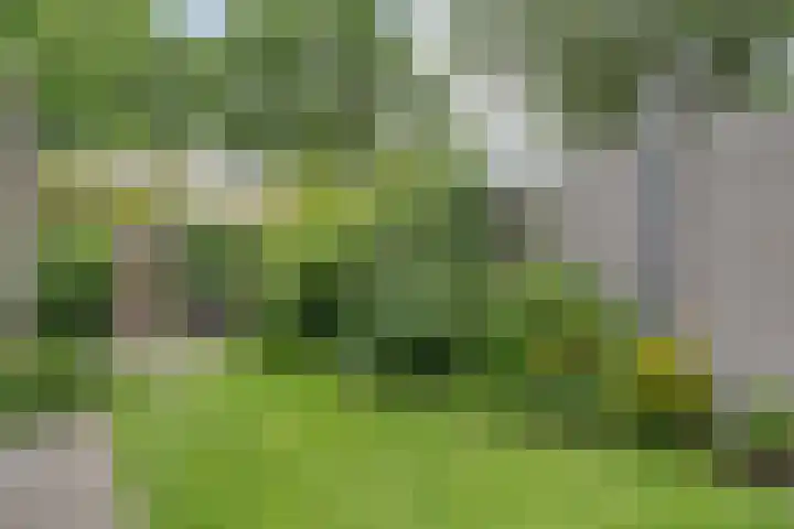 Botlekhof 16 Zwolle thumbnail 56