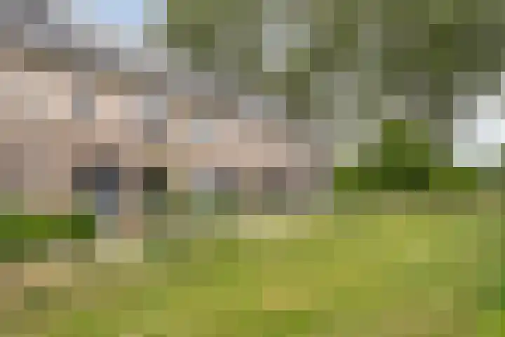 Botlekhof 16 Zwolle thumbnail 8