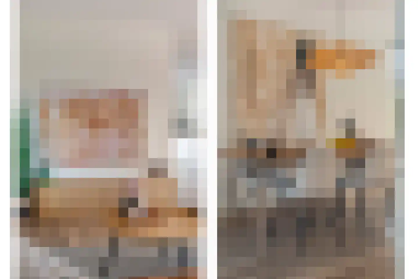 Botlekhof 25 Zwolle thumbnail 11