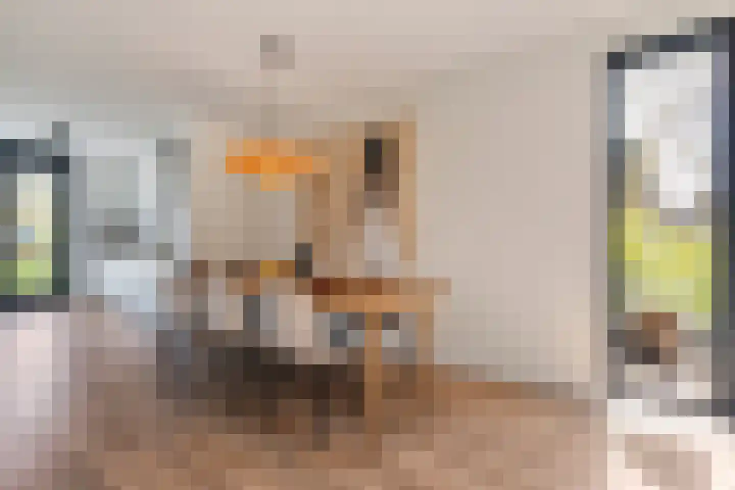 Botlekhof 25 Zwolle thumbnail 13