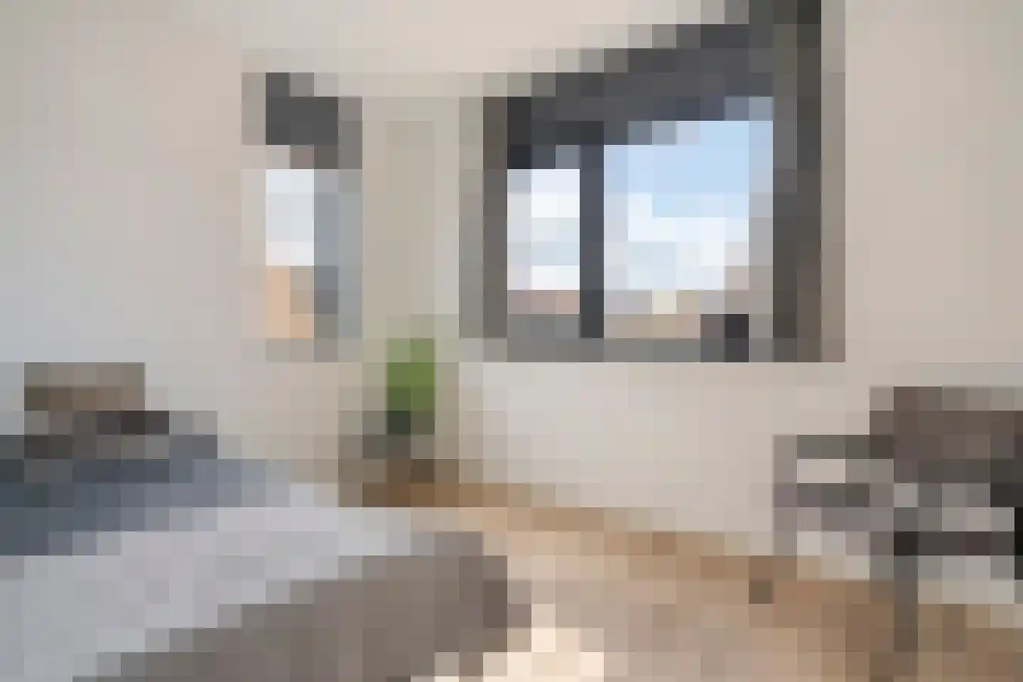 Botlekhof 25 Zwolle thumbnail 24