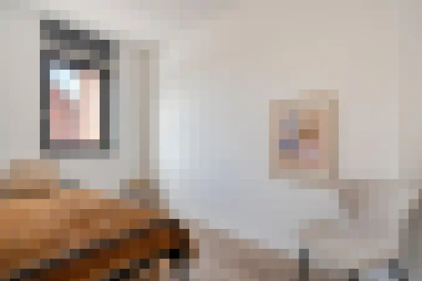 Botlekhof 25 Zwolle thumbnail 26