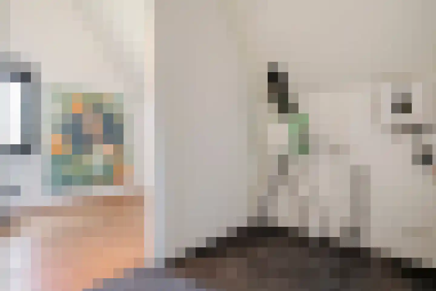 Botlekhof 25 Zwolle thumbnail 33